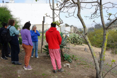 visitas_extranjeros_00011