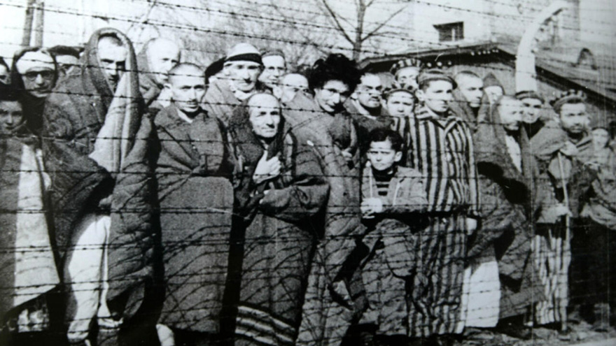 Declaración pública: 27 de enero, Día Internacional en Memoria de las Víctimas del Holocausto