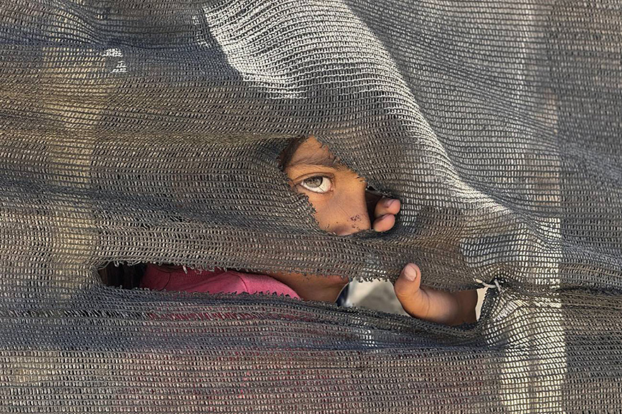 Video foro de invierno: Genocidio en Gaza, exterminio de infancias prisioneras en territorio